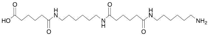 Buy Online CAS Number 10436-22-3 - TRC - 6-[[6-[[6-[(6-Aminohexyl)amino]-1,6 -dioxohexyl]amino]hexyl]amino]-6-oxo-hexanoic Acid