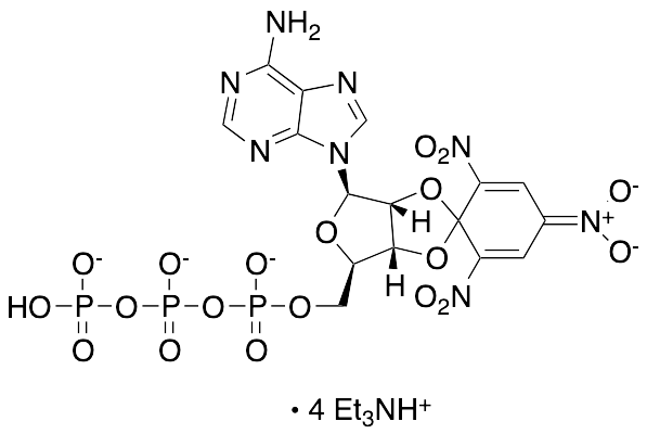 TNP-ATP Triethylammonium Salt