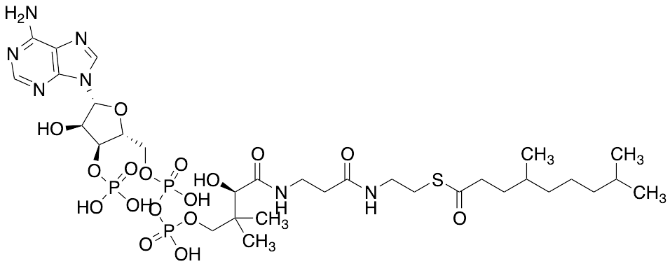 4,8-Dimethylnonanoyl-CoA