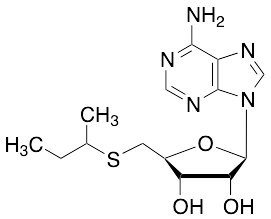 5'-S-(1-Methylpropyl)-5'-thio-adenosine