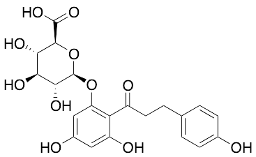 Phloretin-2’-O-glucuronide