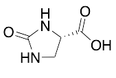 (4S)-2-oxoimidazolidine-4-carboxylic Acid