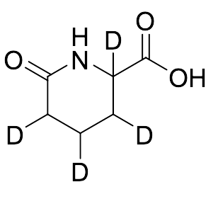 D4-major-6-oxopipecolic Acid
