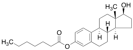 Estradiol 3-heptanoate