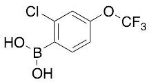 (2-Chloro-4-trifluoromethoxyphenyl)boronic Acid