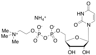 Uridine Diphosphate Choline Ammonium Salt