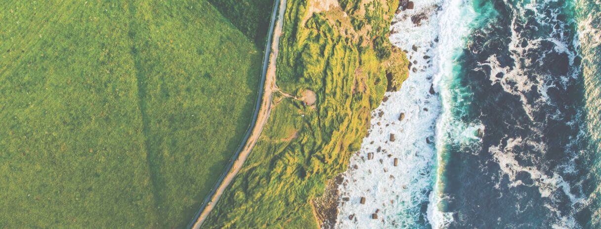 PFAS_2024_catalogue_banner_1216 x 563px-v3 (1).jpg