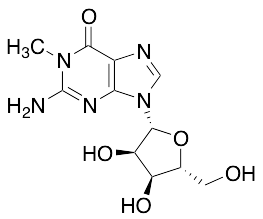 N1-Methylguanosine