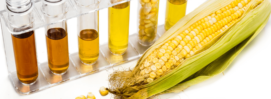 FandE related-min.png