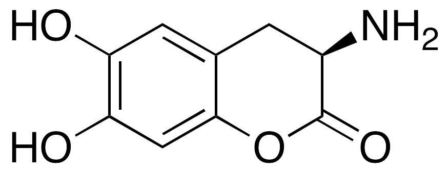 Dopaquinone Lactone