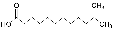 11-​Methyldodecanoic Acid