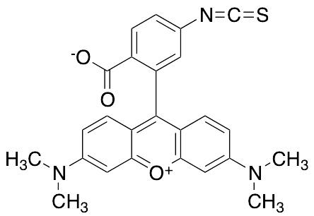Tetramethylrhodamine Isothiocyanate Isomer R (Technical grade)