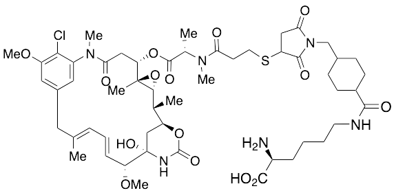 Lys-SMCC-DM1 (~90%)