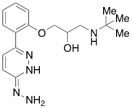 Prizidilol