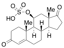 11beta-Hydroxyandrostenedione Sulphate