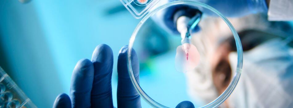 polydrug-flippingbook-herobanner-950 x 350px.jpg