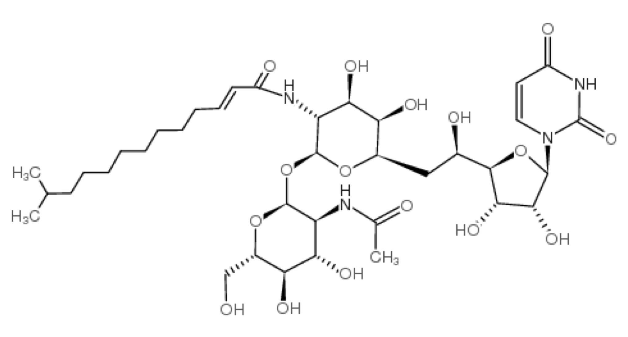 Tunicamycin