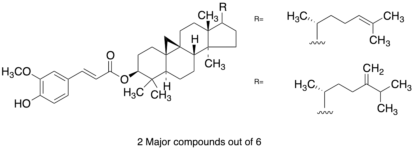 ORYZANOL, gamma-(AS)