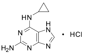 2-Amino-6-cyclopropylamino-9H-purine Hydrochloride Salt