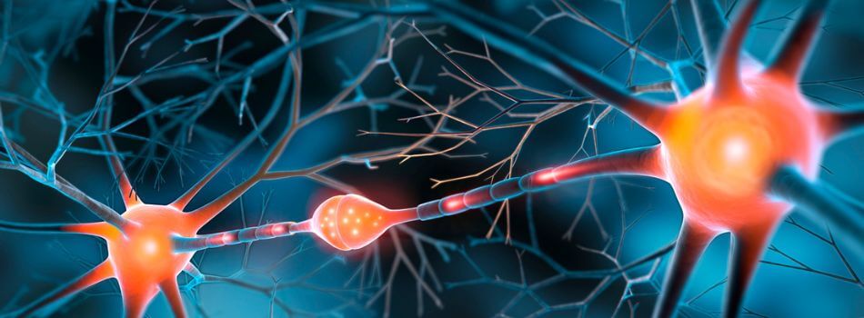 APAC-Neurology-Page-Banner-950 x 350px.jpg