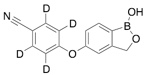 AN-2728-d4