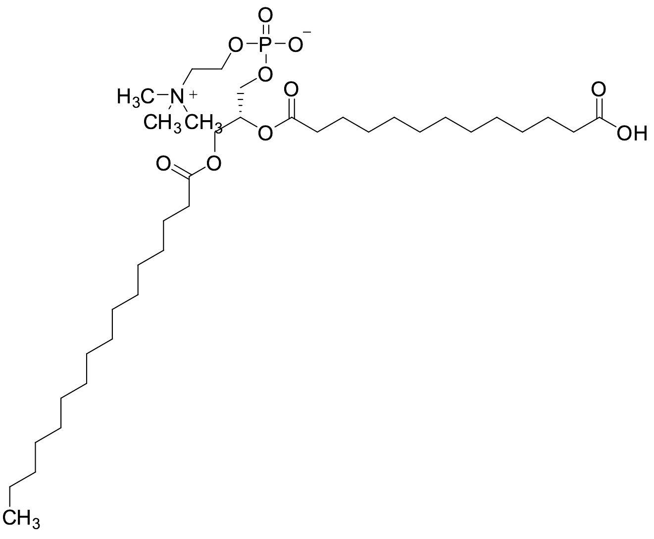 PAPC-2