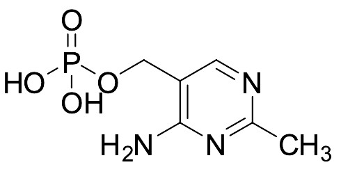 (4-Amino-2-methylpyrimidin-5-yl)methyl Dihydrogen Phosphate