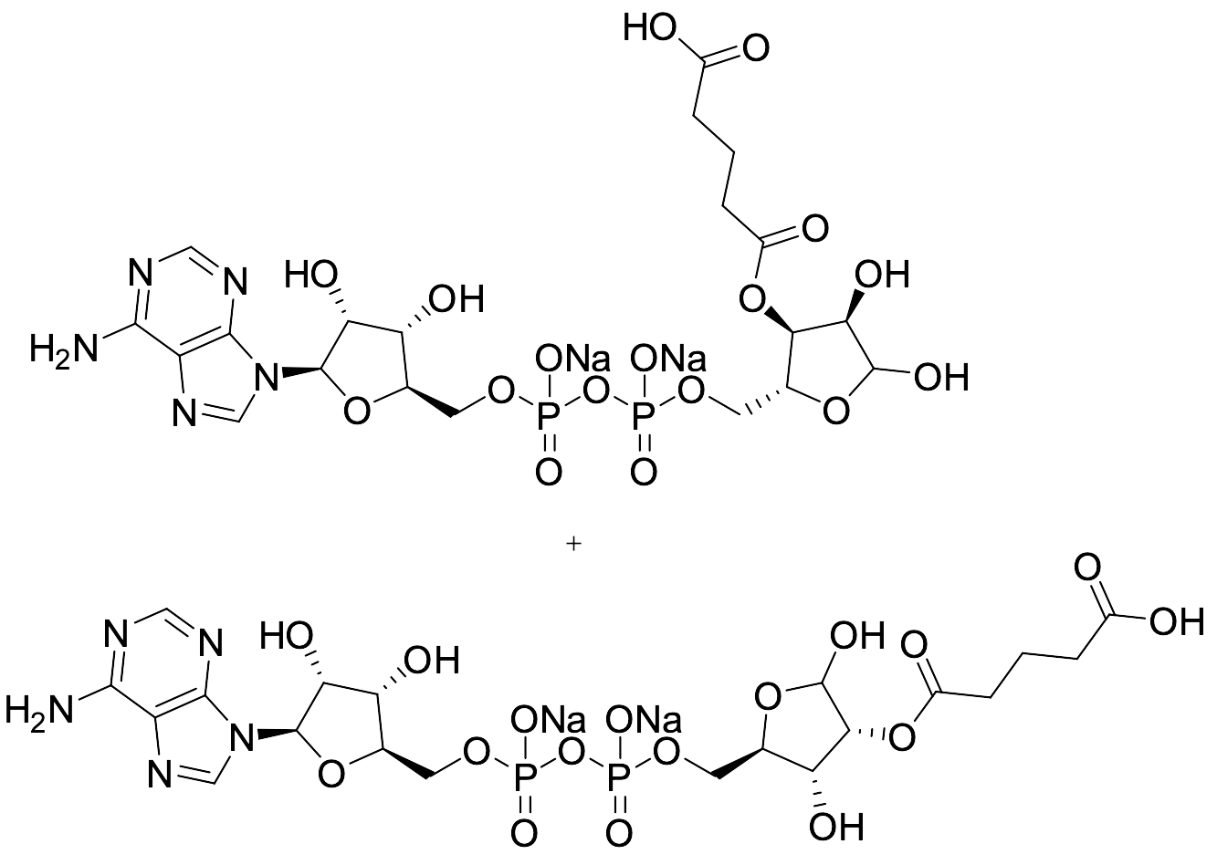 2'/3'-O-Glutaryl ADP Ribose Disodium Salt (Regioisomeric Mixture)