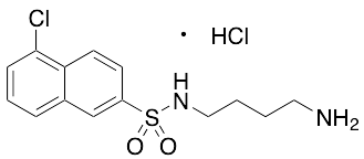 N-(4-Aminobutyl)-5-chloro-2-naphthalenesulfonamide Hydrochloride