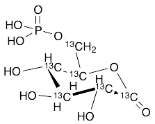 6-Phosphoglucono-delta-lactone-13C6