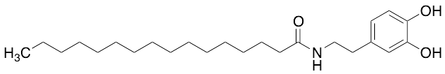 PALDA