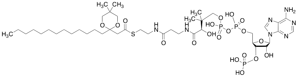 2-(5,5-Dimethyl-2-tridecyl-1,3-dioxan-2-yl)acetoyl-CoA