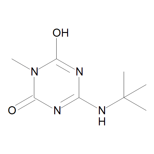 6-(tert-Butylamino)-3-methyl-1,3,5-triazine-2,4(1H,3H)-dione