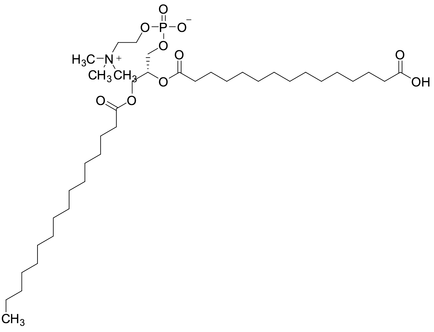 PAPC-3
