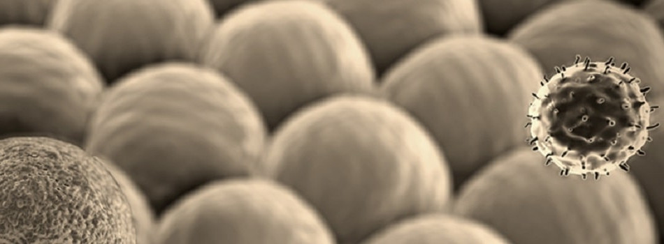 CAR-T poster_950x350.jpg