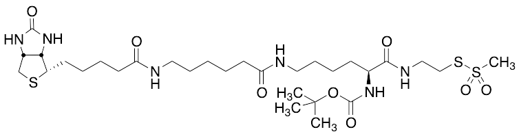 N2-t-Boc-N6-(biotinamido-6-N-caproylamido)lysinylamidoethane Methanethiosulfonate