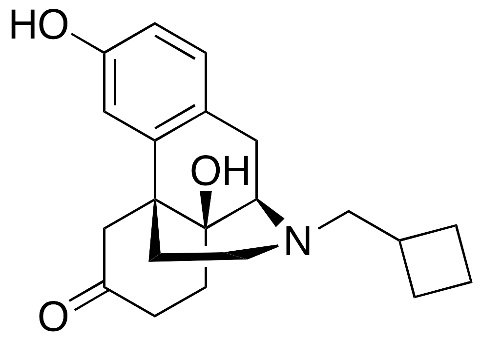 6-Oxo (-)-Butorphanol