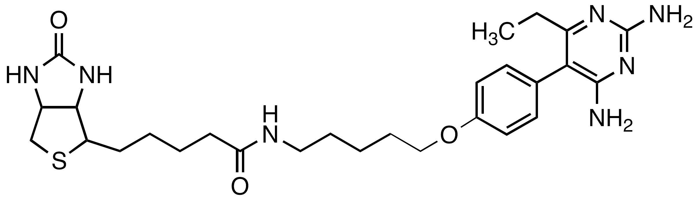 Pyrimethamine Biotin