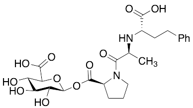 Enalaprilat Acyl Glucuronide (~70%)
