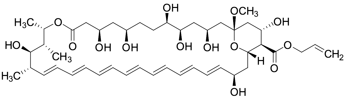 13-O-Methyl-amphoteronolide B 2-Propen-1-yl Ester