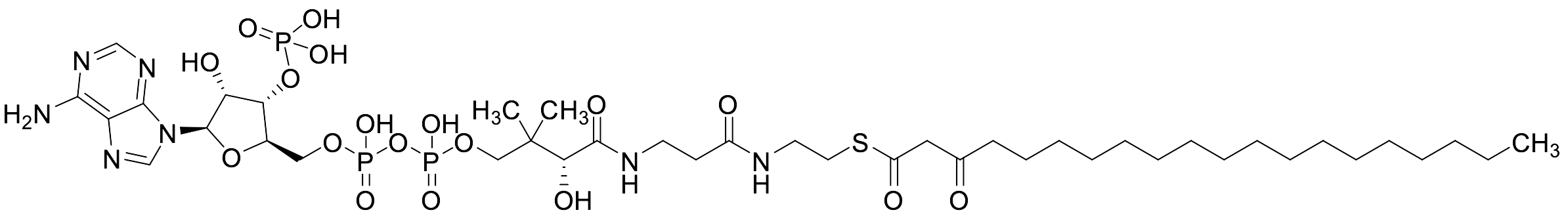 3-Oxoicosanoyl-CoA