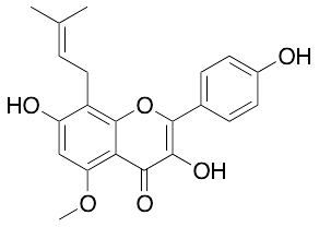 Sophoflavescenol