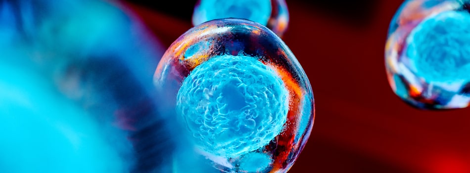 stem-cell-img-950x350-min.jpg