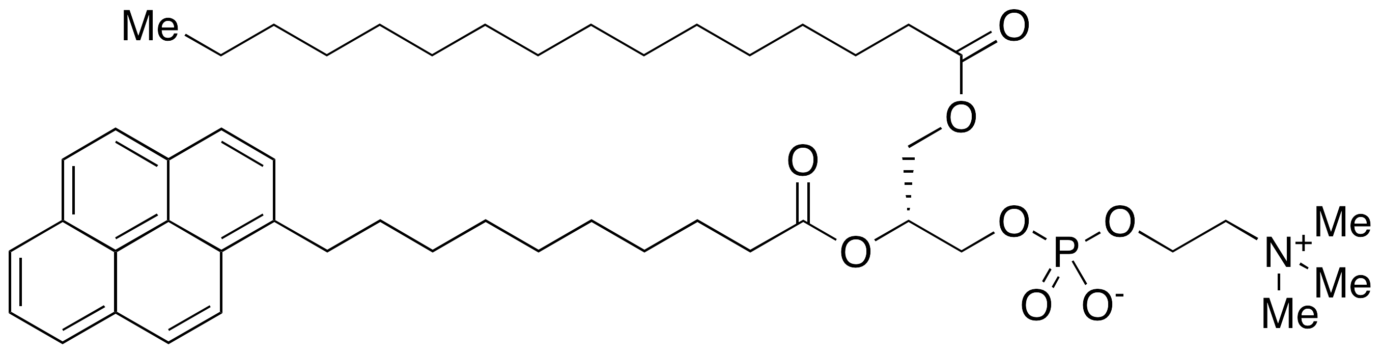 1-Palmitoyl-2-pyrenedecanoylphosphatidylcholine