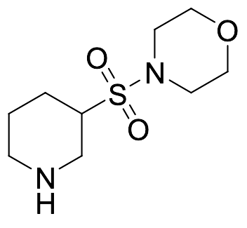 4-(3-Piperidinylsulfonyl)-morpholine