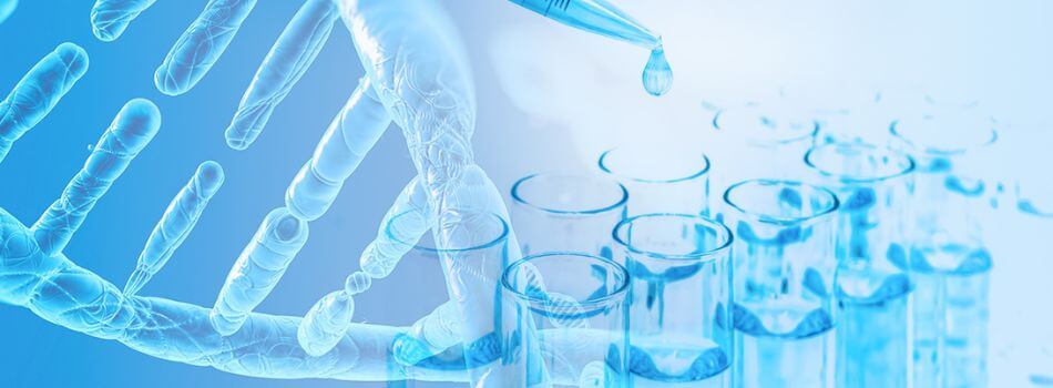 consultancy_services_950 x 350 (1).jpg