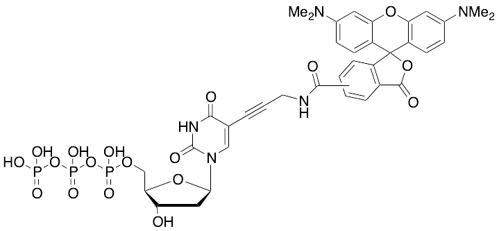 5(6)-Tetramethyl Rhodamine Carboxylic Amide-dUTP