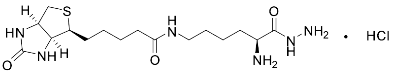 Biocytin Hydrazide Hydrochloride