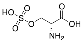 D-Serine O-Sulfate Hydrochloride