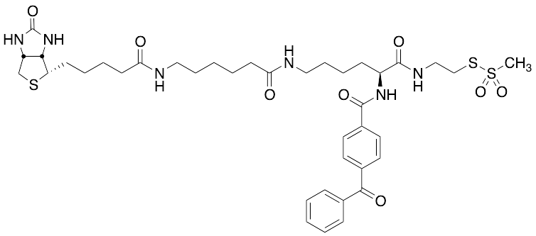 2-[Nalpha-Benzoylbenzoicamido-N6-(6-biotinamidocaproyl)-L-lysinylamido]ethyl Methanethiosulfonate